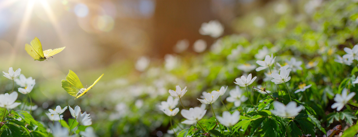 AdobeStock_499881224.jpg