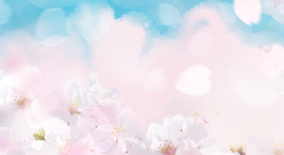 화면 캡처 2025-01-20 165231.png