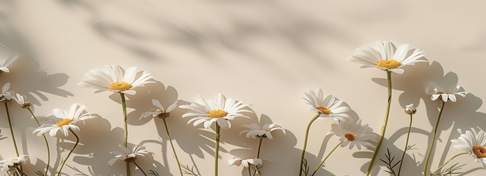 성인 세부.jpeg