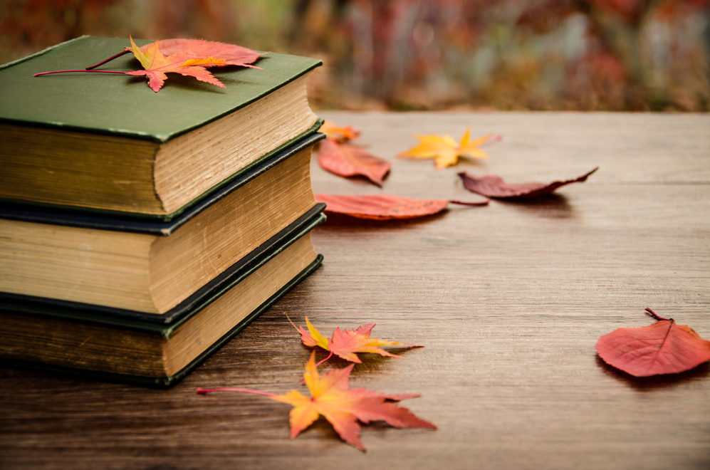 AdobeStock_544765603.jpg
