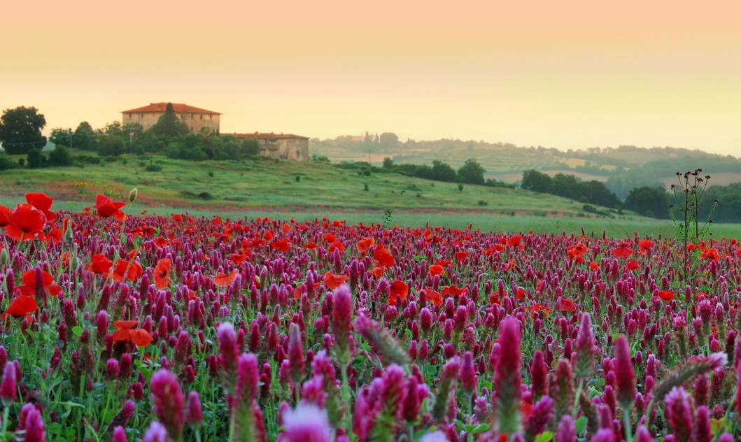 화면 캡처 2026-01-07 173250.jpg