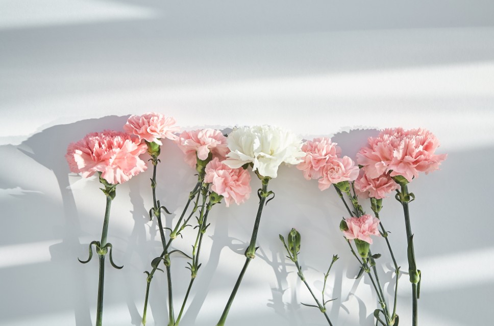 화면 캡처 2026-01-20 125807.jpg