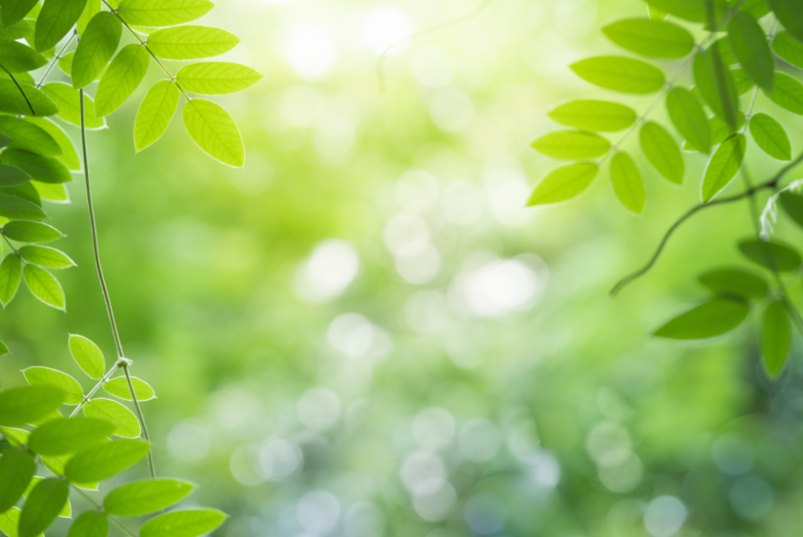 스크린샷 2026-01-20 143927.png