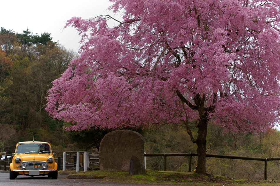 화면 캡처 2026-01-20 124943.jpg