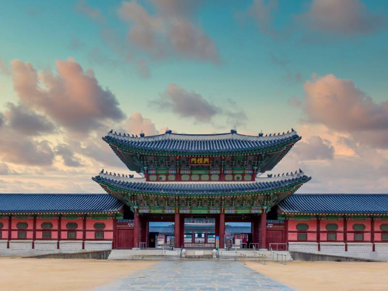세계 문화로 배우는 박선생 창의 역사 교실 이미지