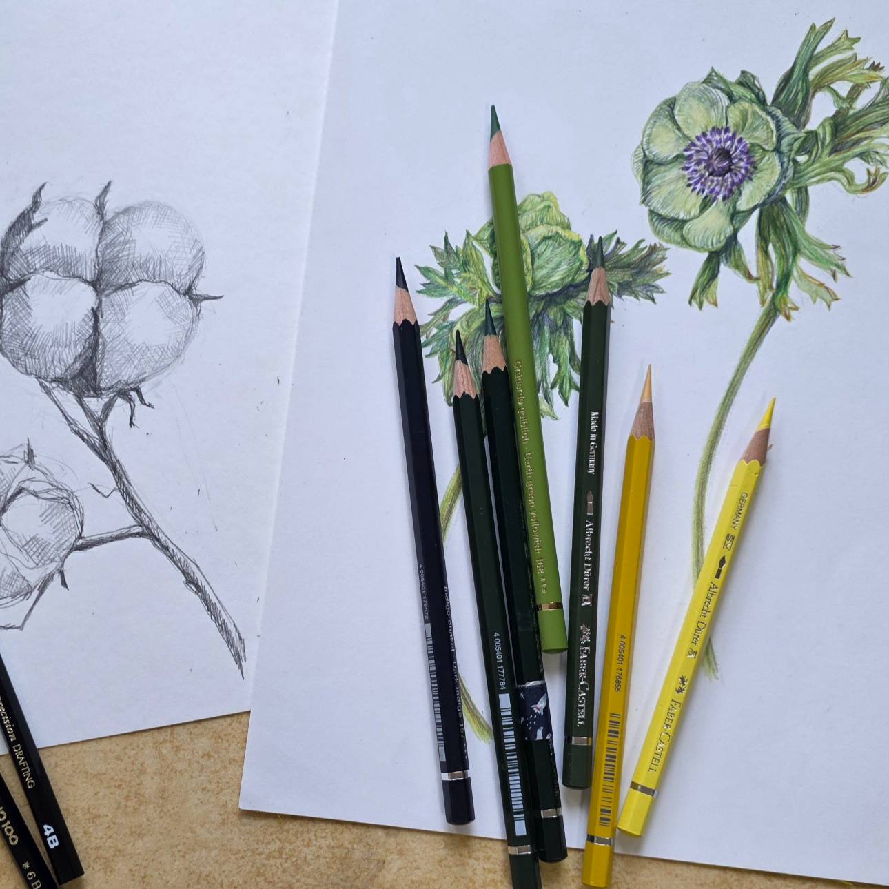 연필스케치와 꽃 그림 그리기 B 이미지