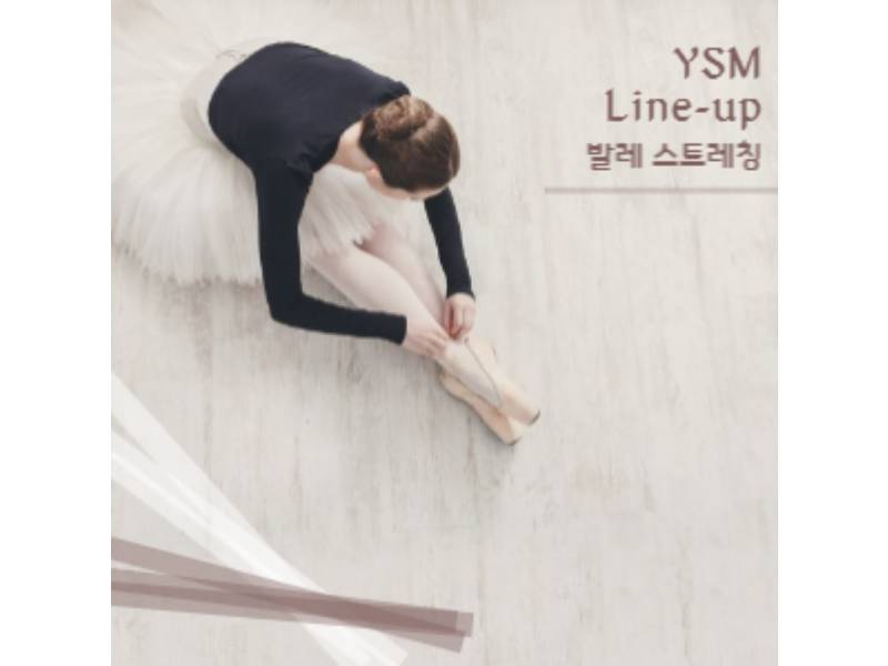이화 YSM 클레식 발레 2차 이미지