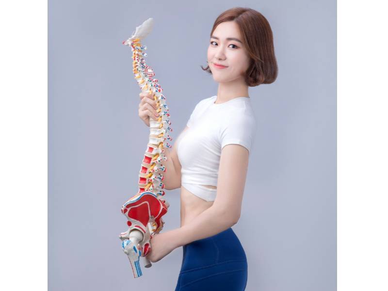 S.N.P.E 바른자세 척추운동 이미지