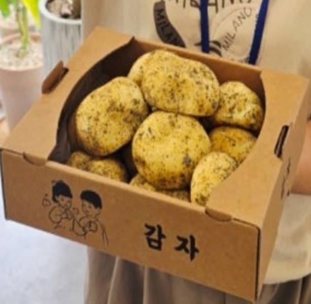 키달 베이킹ㅣ제철베이킹 감자빵 +보호자 이미지