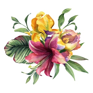 색연필로 그리는 꽃그림 이미지
