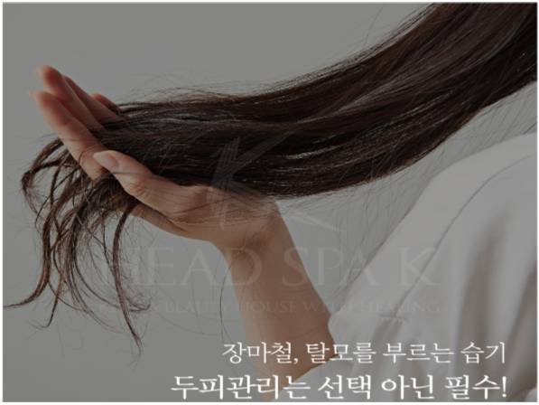 헤드스파K와 함께하는 두피, 모발 클래스 이미지