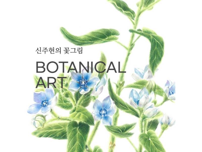 꽃 그림(보타니컬 아트) 이미지