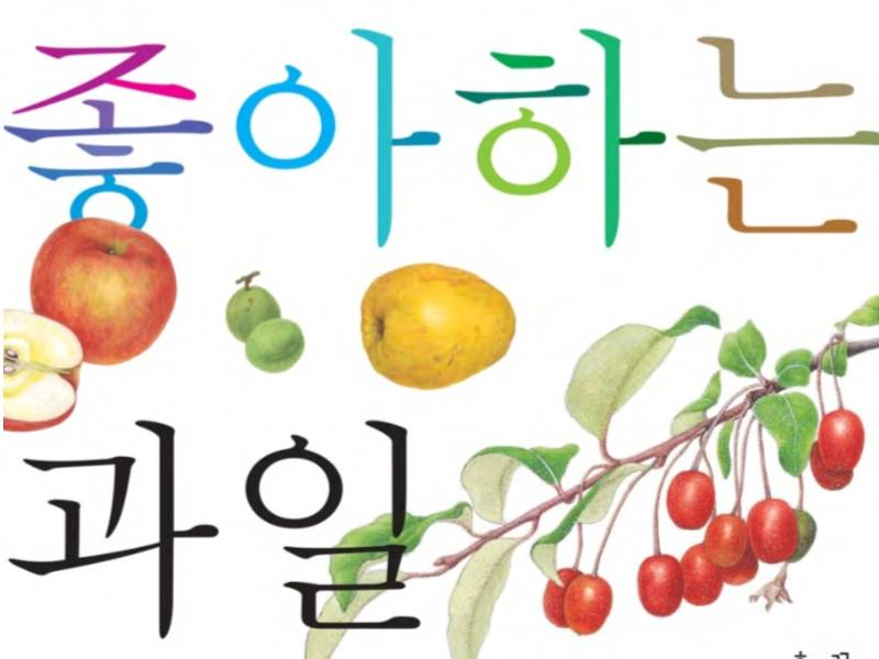 웅진-과일 플레이콘 만들기 이미지
