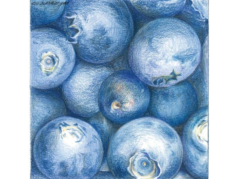유은주의 보타니컬 아트 꽃그림 B 이미지
