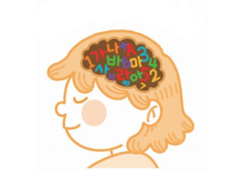 브레인 노크 플러스 이미지