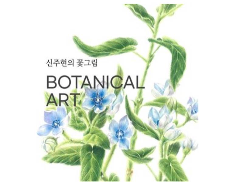 신주현의 꽃그림, 보태니컬 아트 이미지