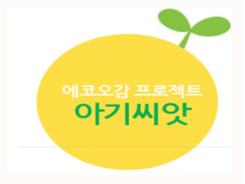 에코오감 꿈꾸는 아기 씨앗 이미지