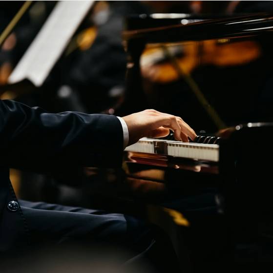 ‘All that Symphony’ 교향곡의 모든 것 이미지