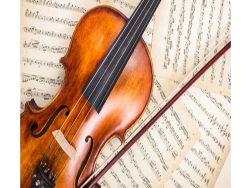 1:1 개인코칭 바이올린[C] 이미지