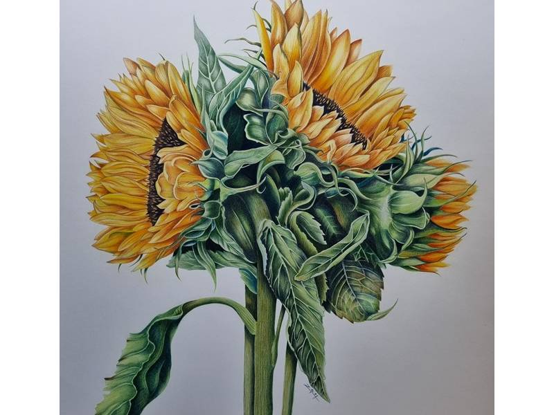 보타니컬 아트 꽃그림 B 이미지