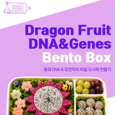 푸드앤사이언스 용과 DNA 유전자의 비밀 도시락 만들기 이미지