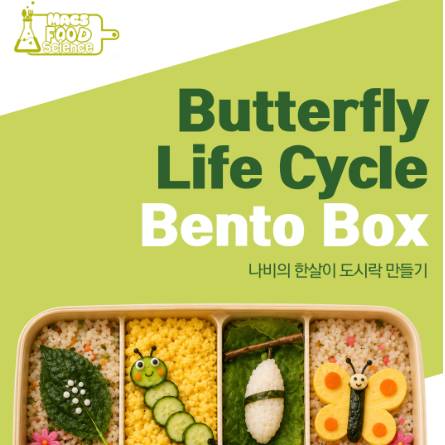 푸드앤사이언스 나비의 한살이 도시락 만들기 이미지