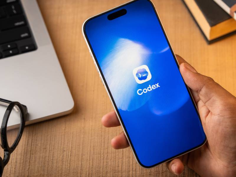 직장인을 위한 Codex 업무 활용법 이미지