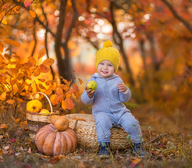 AdobeStock_151787606.jpg