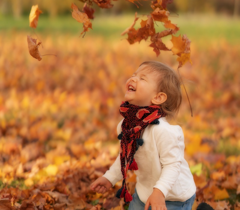 AdobeStock_386473972.jpg