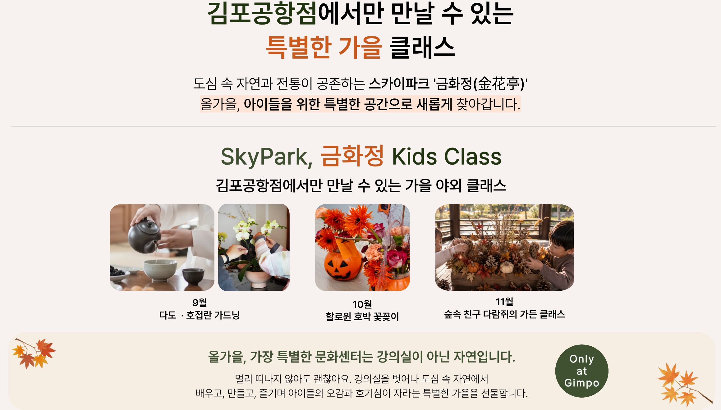 기획전 아래.jpg