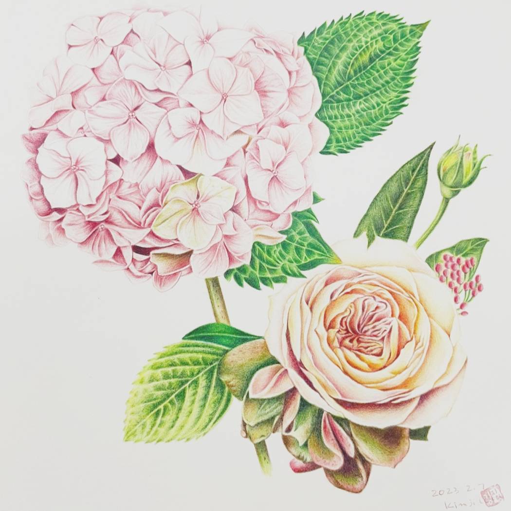 직장인 보타니컬 아트 색연필 이미지