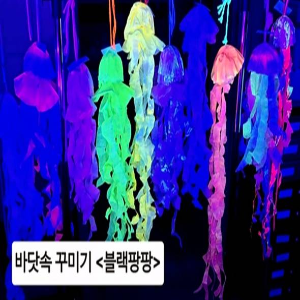 블랙팡팡ㅣ반짝반짝 빛나는 바다탐험 B 이미지