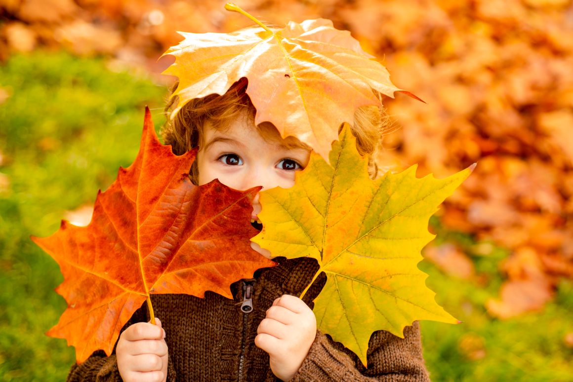 AdobeStock_371894523111.jpg