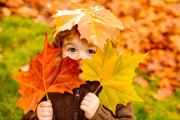 AdobeStock_371894523222.jpg