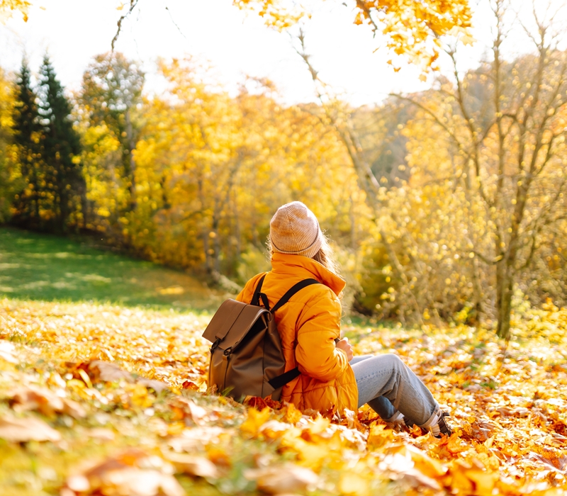 AdobeStock_2152558189.jpg